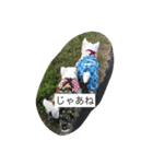 にこジェニミラン（個別スタンプ：2）