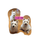 にこジェニミラン（個別スタンプ：7）