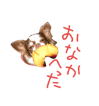 MIRULA2（個別スタンプ：2）