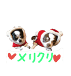 MIRULA2（個別スタンプ：5）