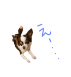 MIRULA2（個別スタンプ：6）