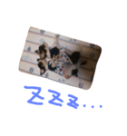 MIRULA2（個別スタンプ：13）