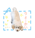 れあちースタンプ第二弾（個別スタンプ：3）