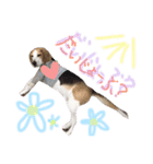 れあちースタンプ第二弾（個別スタンプ：8）