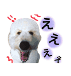 れあちースタンプ第二弾（個別スタンプ：10）