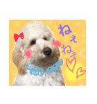 れあちースタンプ第二弾（個別スタンプ：11）