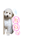 れあちースタンプ第二弾（個別スタンプ：15）
