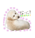 れあちースタンプ第二弾（個別スタンプ：19）