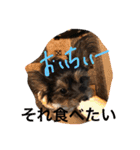みみるる 2（個別スタンプ：3）