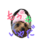 みみるる 2（個別スタンプ：7）