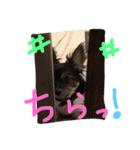 みみるる 2（個別スタンプ：15）