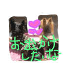 みみるる 2（個別スタンプ：20）