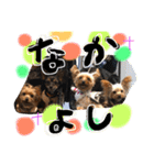 みみるる 2（個別スタンプ：21）