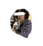 Yorkshire terrierpero（個別スタンプ：1）