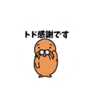 Golfer Todo（個別スタンプ：4）