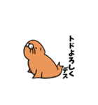 Golfer Todo（個別スタンプ：7）