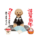 トイプードル❤︎ノア vol.2（個別スタンプ：13）