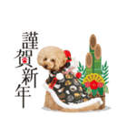 トイプードル❤︎ノア vol.2（個別スタンプ：15）