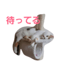日常で使えそうなスタンプ（個別スタンプ：14）