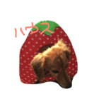 ひめちゃんん（個別スタンプ：1）
