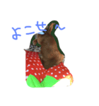 ひめちゃんん（個別スタンプ：2）