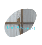 たびたん（個別スタンプ：18）