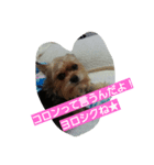 nice  guy（個別スタンプ：3）