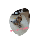 nice  guy（個別スタンプ：6）