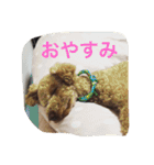 くぅーちゃんの巻（個別スタンプ：2）