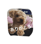 くぅーちゃんの巻（個別スタンプ：3）