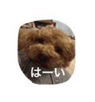 くぅーちゃんの巻（個別スタンプ：5）