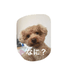 くぅーちゃんの巻（個別スタンプ：6）
