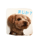 くぅーちゃんの巻（個別スタンプ：7）