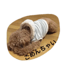 くぅーちゃんの巻（個別スタンプ：8）