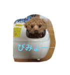 くぅーちゃんの巻（個別スタンプ：9）