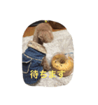 くぅーちゃんの巻（個別スタンプ：10）