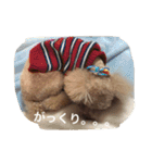 くぅーちゃんの巻（個別スタンプ：11）