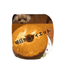 くぅーちゃんの巻（個別スタンプ：13）