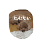 くぅーちゃんの巻（個別スタンプ：14）