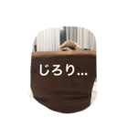 くぅーちゃんの巻（個別スタンプ：15）