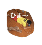 くぅーちゃんの巻（個別スタンプ：17）