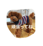 くぅーちゃんの巻（個別スタンプ：18）
