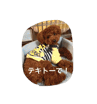 くぅーちゃんの巻（個別スタンプ：20）