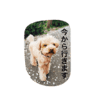 くぅーちゃんの巻（個別スタンプ：23）