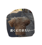 くぅーちゃんの巻（個別スタンプ：24）