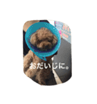 くぅーちゃんの巻（個別スタンプ：26）