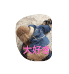 くぅーちゃんの巻（個別スタンプ：27）