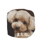 くぅーちゃんの巻（個別スタンプ：28）