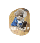 くぅーちゃんの巻（個別スタンプ：29）