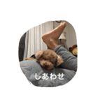 くぅーちゃんの巻（個別スタンプ：31）